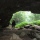 Maquoketa caves state park
